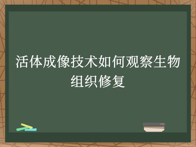 活体成像技术如何观察生物组织修复